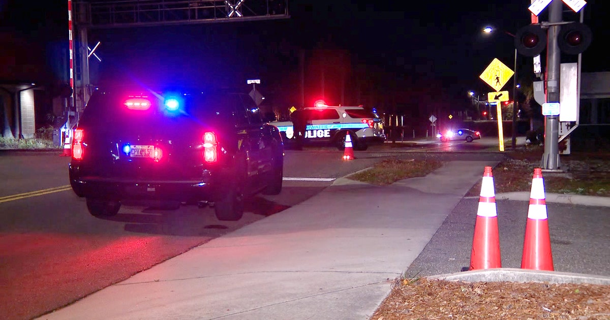 Clearwater police search for hit-and-run driver who fled after injuring ...