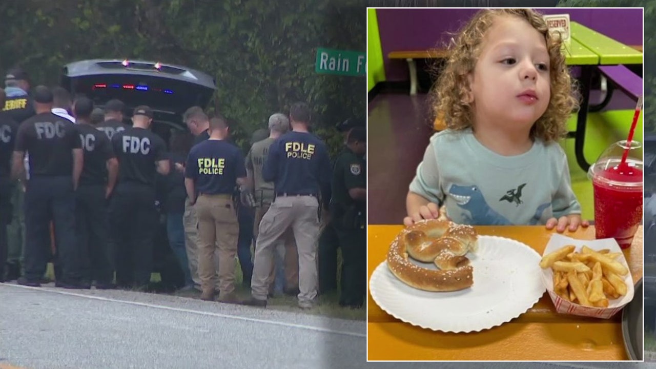 Search continues for missing 2-year-old who wandered away from Brooksville home - Vimarsana News