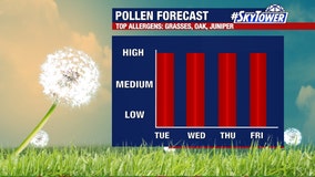 Allergy sufferers struggle under oppressive start to pollen season