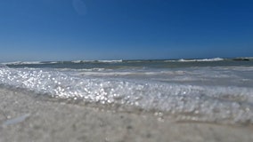 Have beach plans? Pinellas, Sarasota coast experiencing high levels of red tide