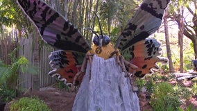 Bugtopia, a new exhibit featuring larger than life bugs opening at ZooTampa