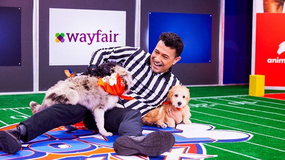 Puppy Bowl XIX will feature 122 puppies from 67 shelters, referee says: ‘They’re all stars’