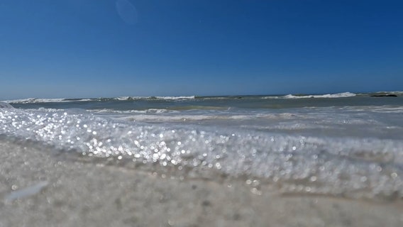 Have beach plans? Pinellas, Sarasota coast experiencing high levels of red tide