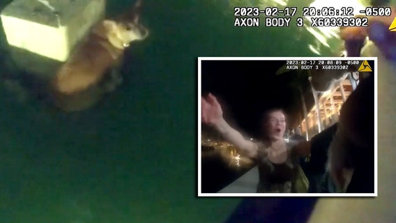 Chihuahua rescued after going overboard with owner near Sarasota Yacht Club