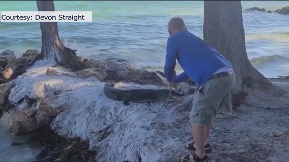 Florida alligator trappers receive first stipend increase in nearly 20 years in hopes of alleviating shortage