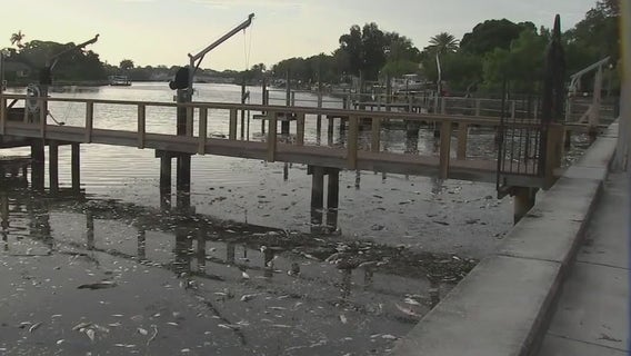 Scientists prepare for second field test of clay mixture used to mitigate red tide
