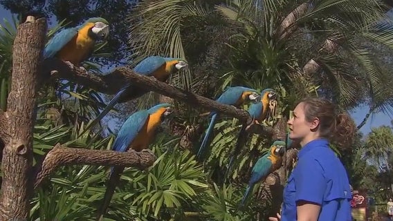 How experts learn to understand, communicate with animals