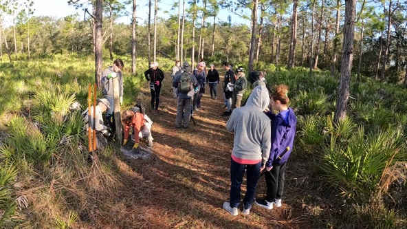 Local volunteer group works to keep Hillsborough County trails, nature preserves clean