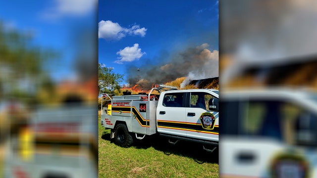 Hillsborough firefighters battle 50-acre brush fire at HCSO training ground in Lithia