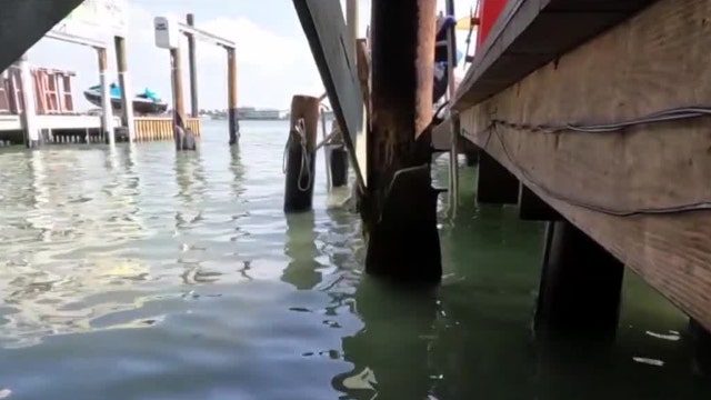 State environmental agency investigating raw sewage spill in John's Pass