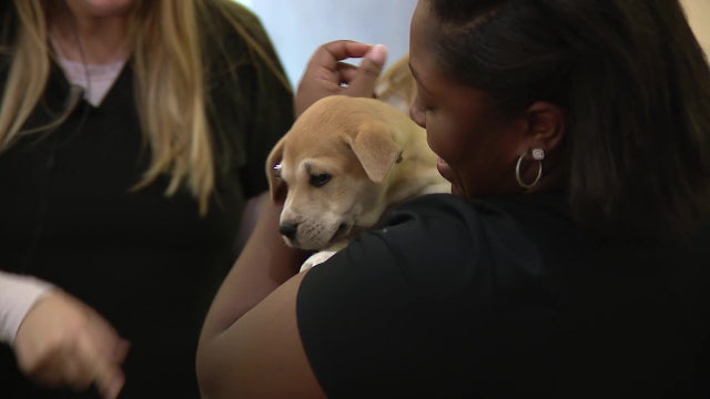 SkinSmart Dermotology receives unique Valentine's Day gift