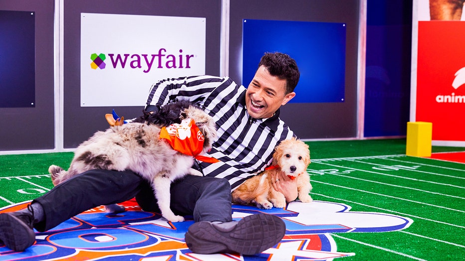 Meet the Tampa Bay dogs starring in the Puppy Bowl