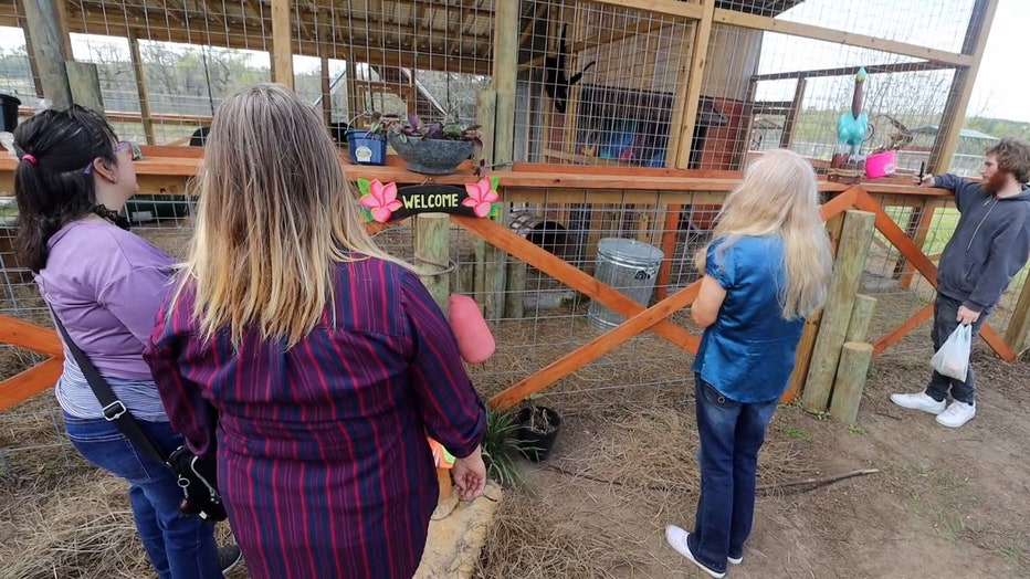 A high school field trip stopped to meet the famous monkeys of Monkey Island that are staying at Boyett's Grove.