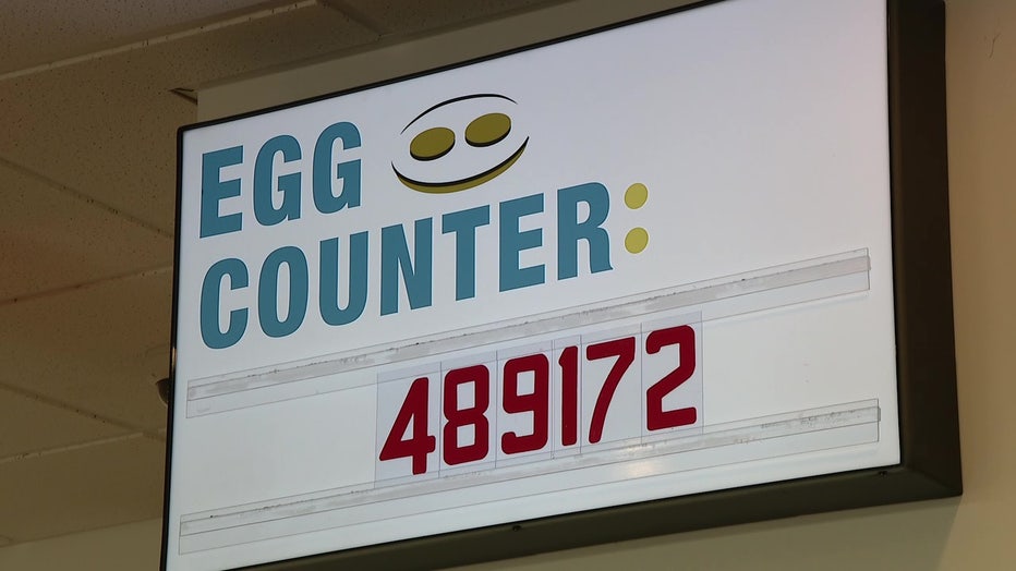 Eggs Up Grill Riverview's egg counter was at 16,700 in 2020 and has since grown to more than 489,000 eggs by the second week of February. 