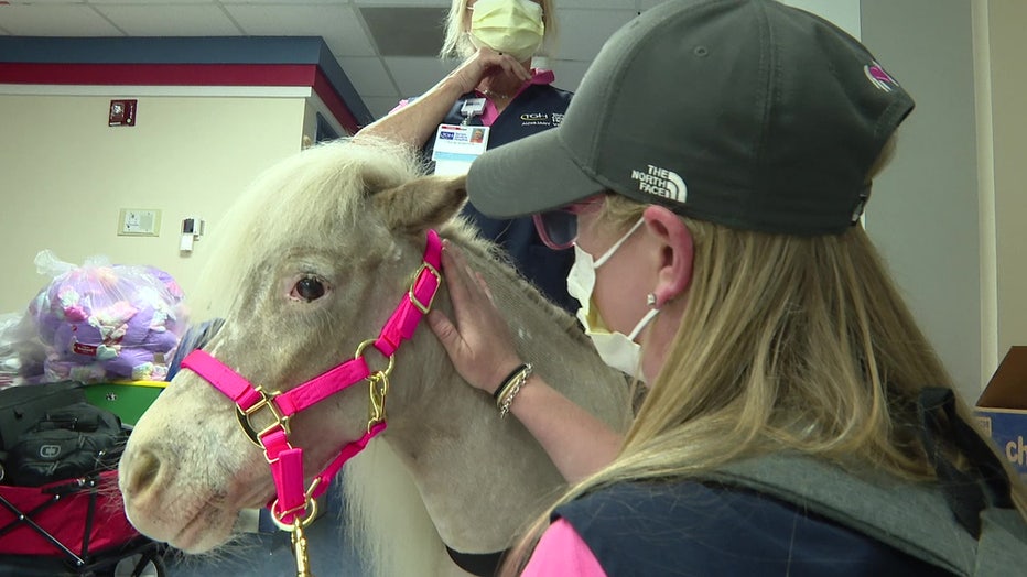 Honey offers patients and staff a moment of stress relief. 