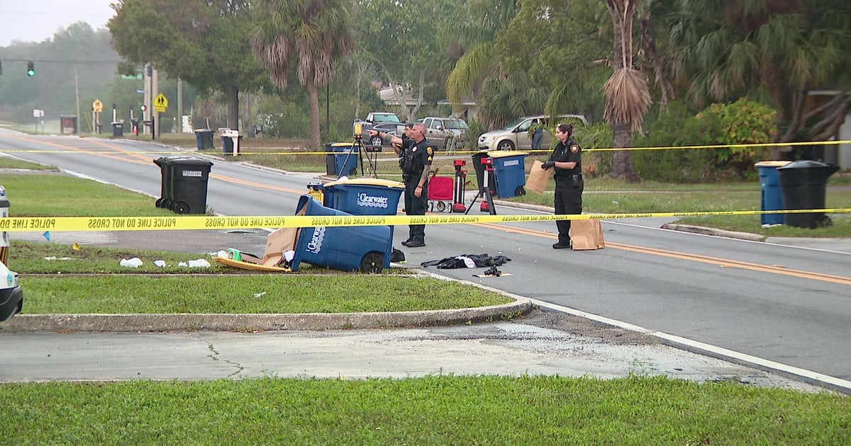 1 killed in Clearwater hit-and-run crash, police say | FOX 13 Tampa Bay