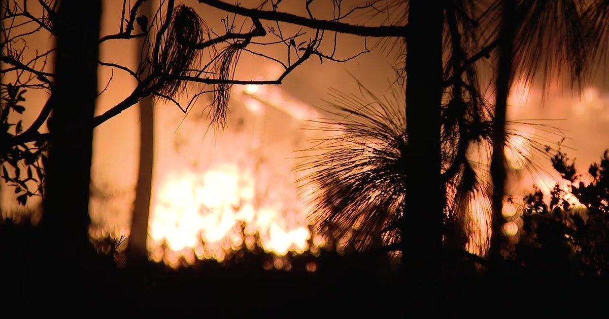Tampa Bay area in ‘severe drought,’ communities issue burn bans | FOX ...