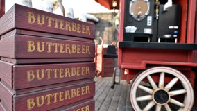 Vegan butterbeer added to menus at Universal's Wizarding World of Harry Potter