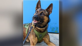 New K9 joins Pasco County Sheriff’s Office