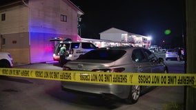 Man shot following argument in Holiday, deputies say