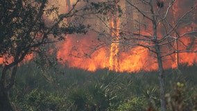 North Port brush fire: Roads reopen after fire forces closures on I-75; schools evacuate as precaution