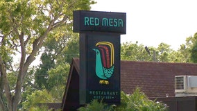 St. Petersburg's Red Mesa accused of keeping tips from workers, paying less than minimum wage