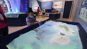 Tampa Bay Watch celebrates 30 years of working to keep local waters healthy