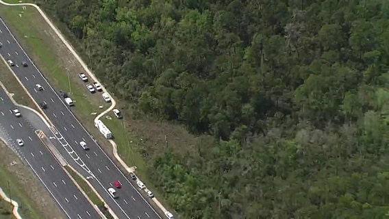 Human bones discovered in wooded area of Hudson, deputies say