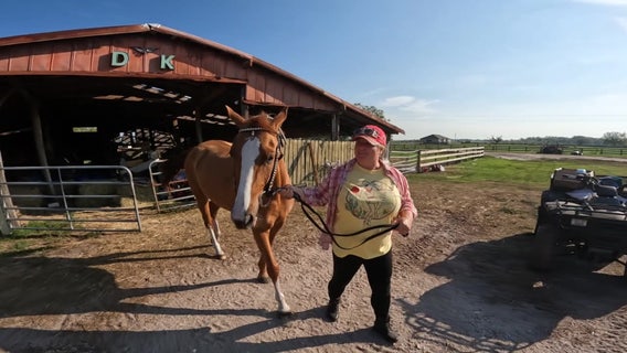 Myakka City farm rescues horses, while preserving history
