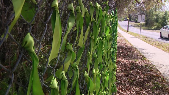 Local group fundraising to buy 14-acre land in Pinellas County to protect rare plant, animal species