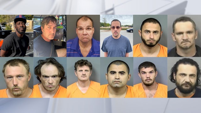 Multiple arrested for trying to have sex with minors in Citrus County operation, deputies say
