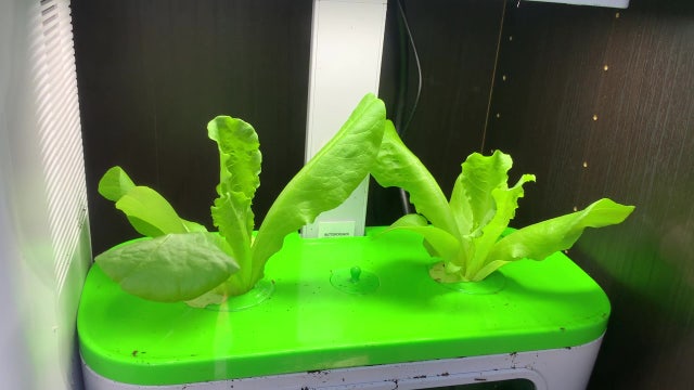 'Garden Pod' off Siesta Key created to address food insecurity, lower costs