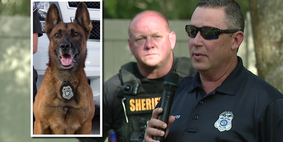 Procession Planned For Fallen Big Lake Police K9 This Weekend