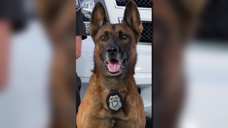 K9 Tank served with his handler for nine years. 