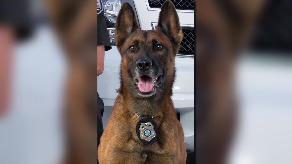 K9 Tank served with his handler for nine years.