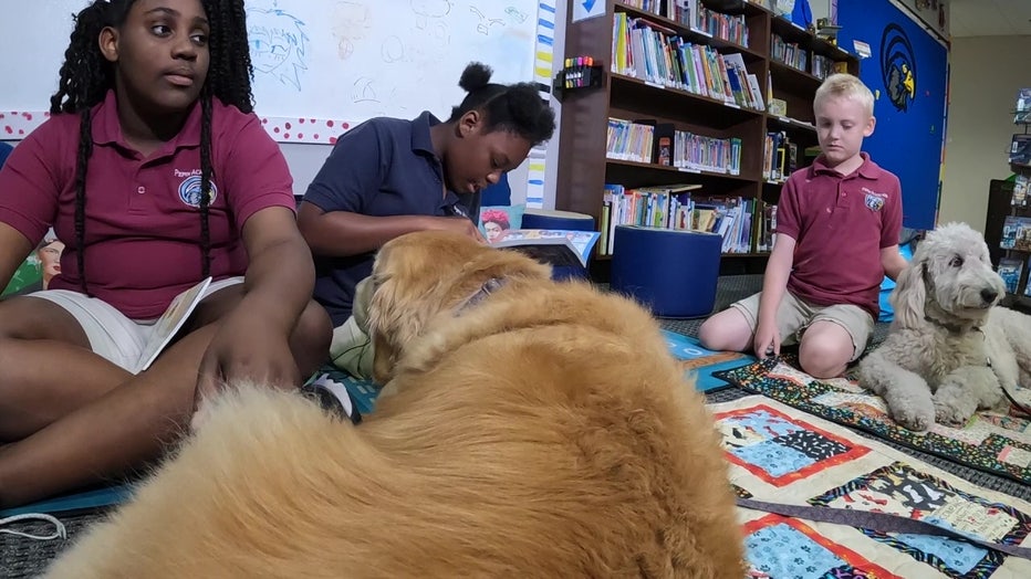 Dogs help children with reading skills though the "Furry Tails" program. 