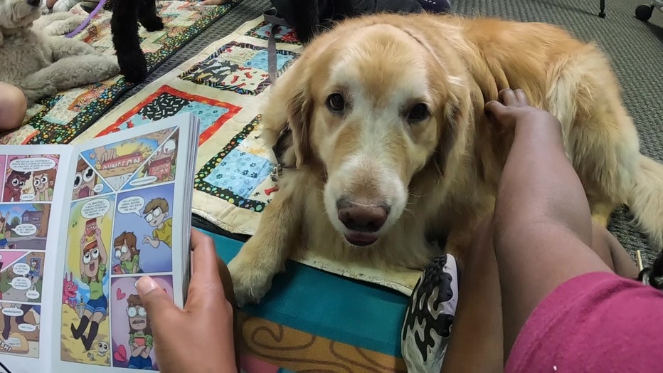 A dog listens as a child reads a book out loud. 