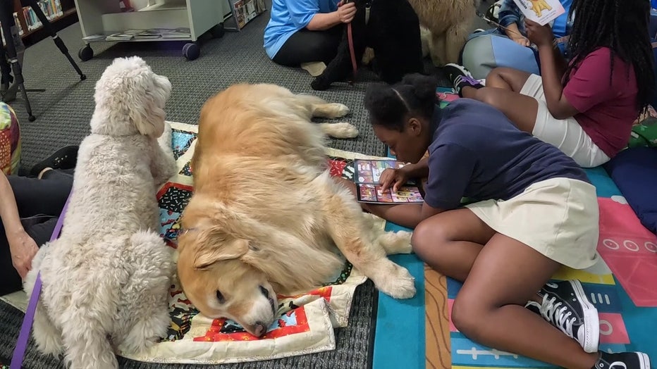 Children read to dogs at Pepin Academies Riverview School. 