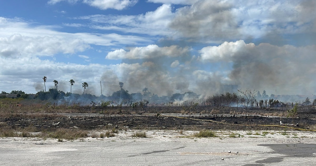 Brush fire closes portion of Westshore Boulevard | FOX 13 Tampa Bay