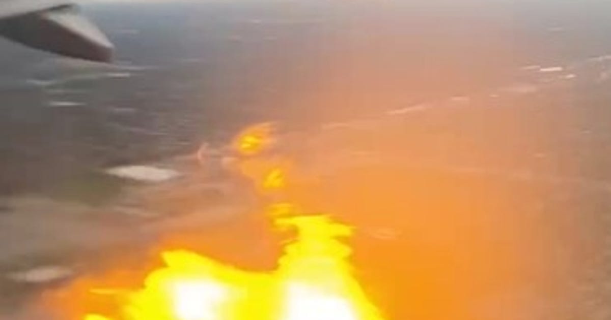 birdstrike.jpg?ve=1&tl=1