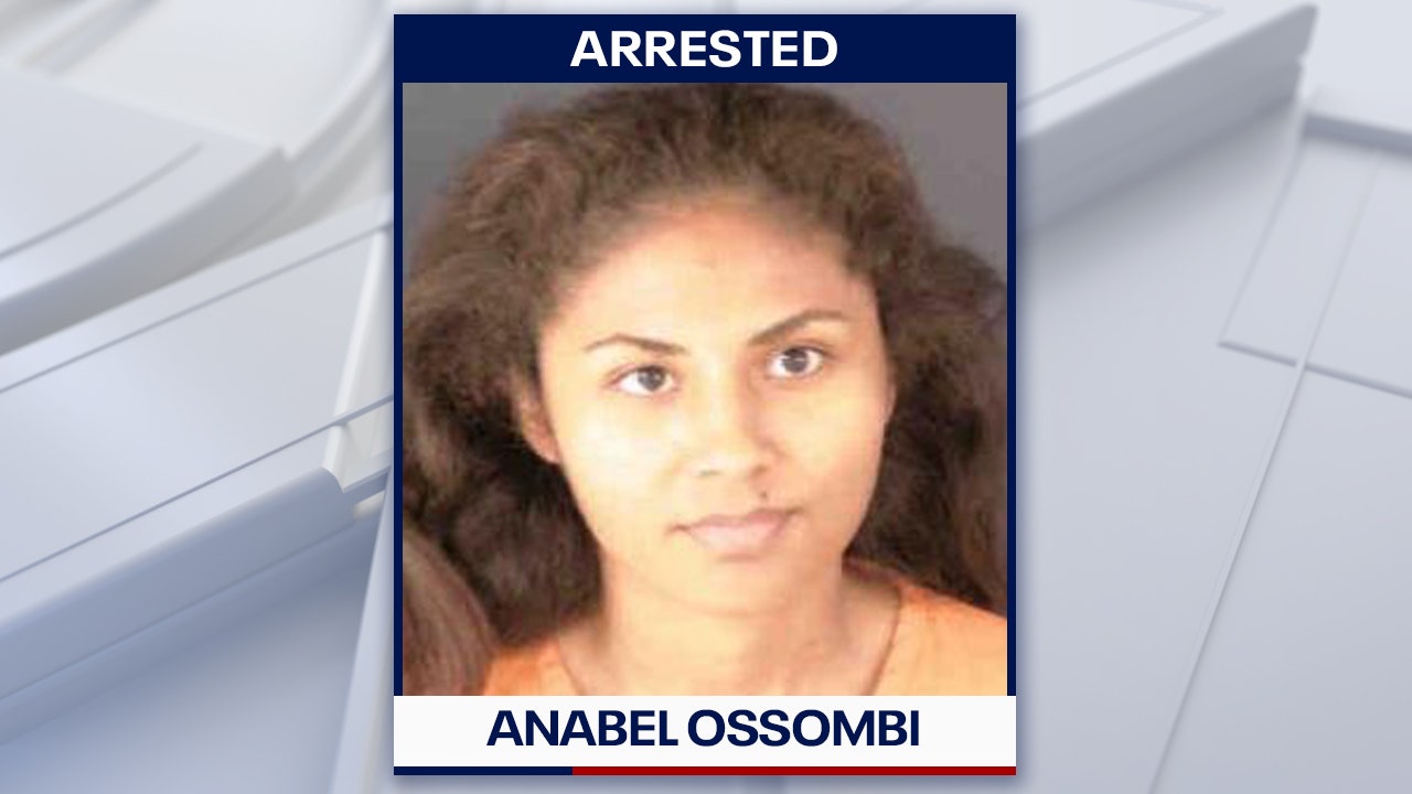 Sarasota mail sorter stole more than $70,000 from 60 companies, police say - Vimarsana News
