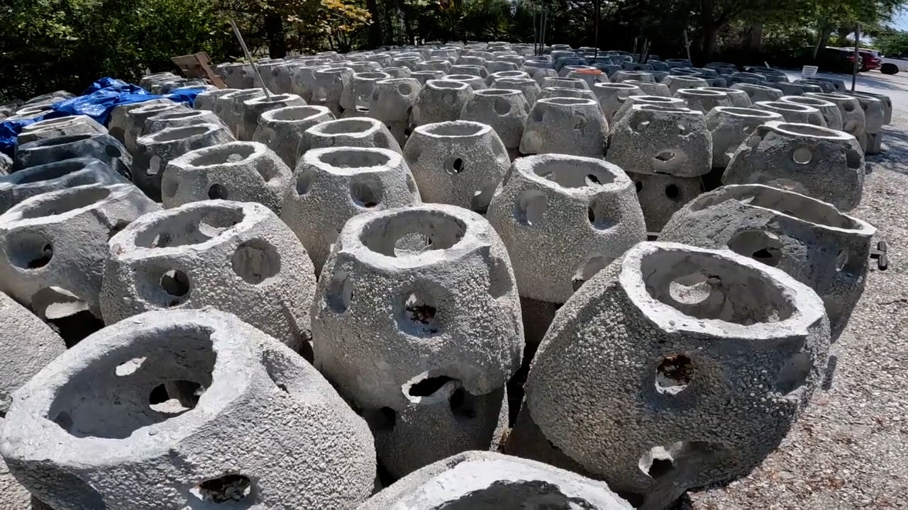 Tampa Bay Watch non-profit transform old toilets into oyster reef balls - Vimarsana News