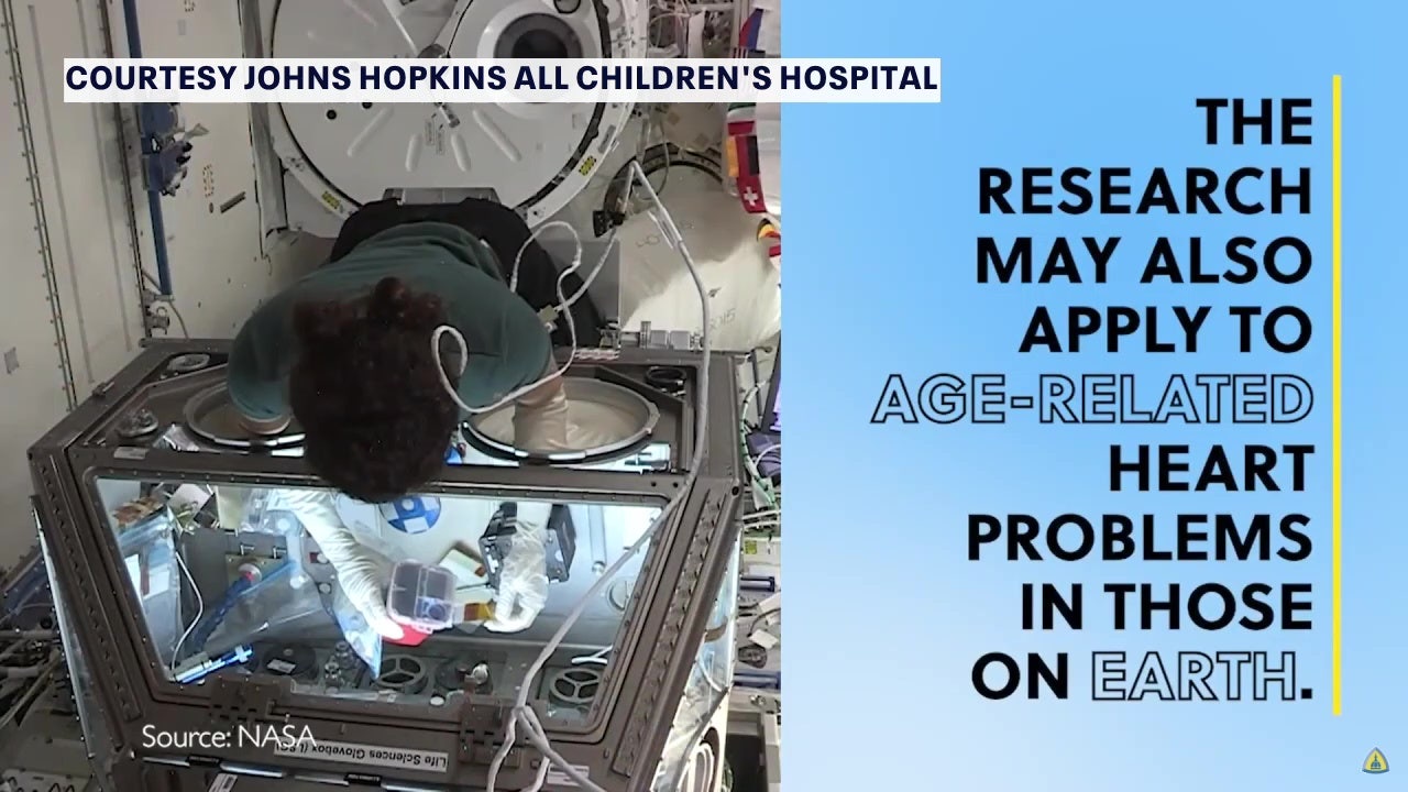 Human heart tissue took a trip to space and it was all for science - Vimarsana News