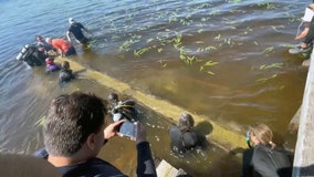 Watch: 1,000-year-old canoe pulled from North Carolina lake