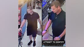 Sarasota Police Department searching for Guinea Pig thief