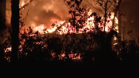Despite recent rainfall, Tampa Bay area still at high risk of wildfires