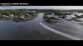 Florida Wildlife Corridor Foundation receives one of its largest financial gifts