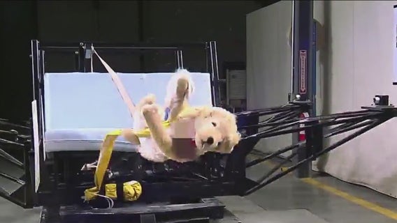 Many pet car restraints failed crash tests