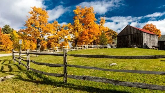 Where does your state rank on the ‘2023 Greenest States’ list?