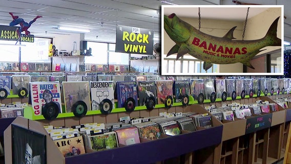 Vinyl is back: Browse more than 3 million records at Bananas in St. Pete